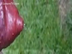 High quality closeup slow motion movie scene of a swollen void urine aperture pissing outdoors 